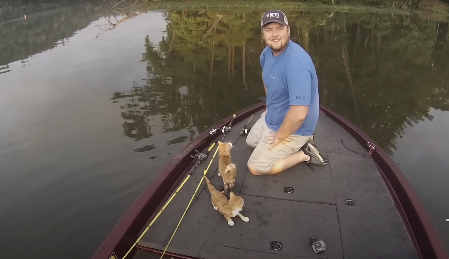 These Heroes Redefine “Catfishing”