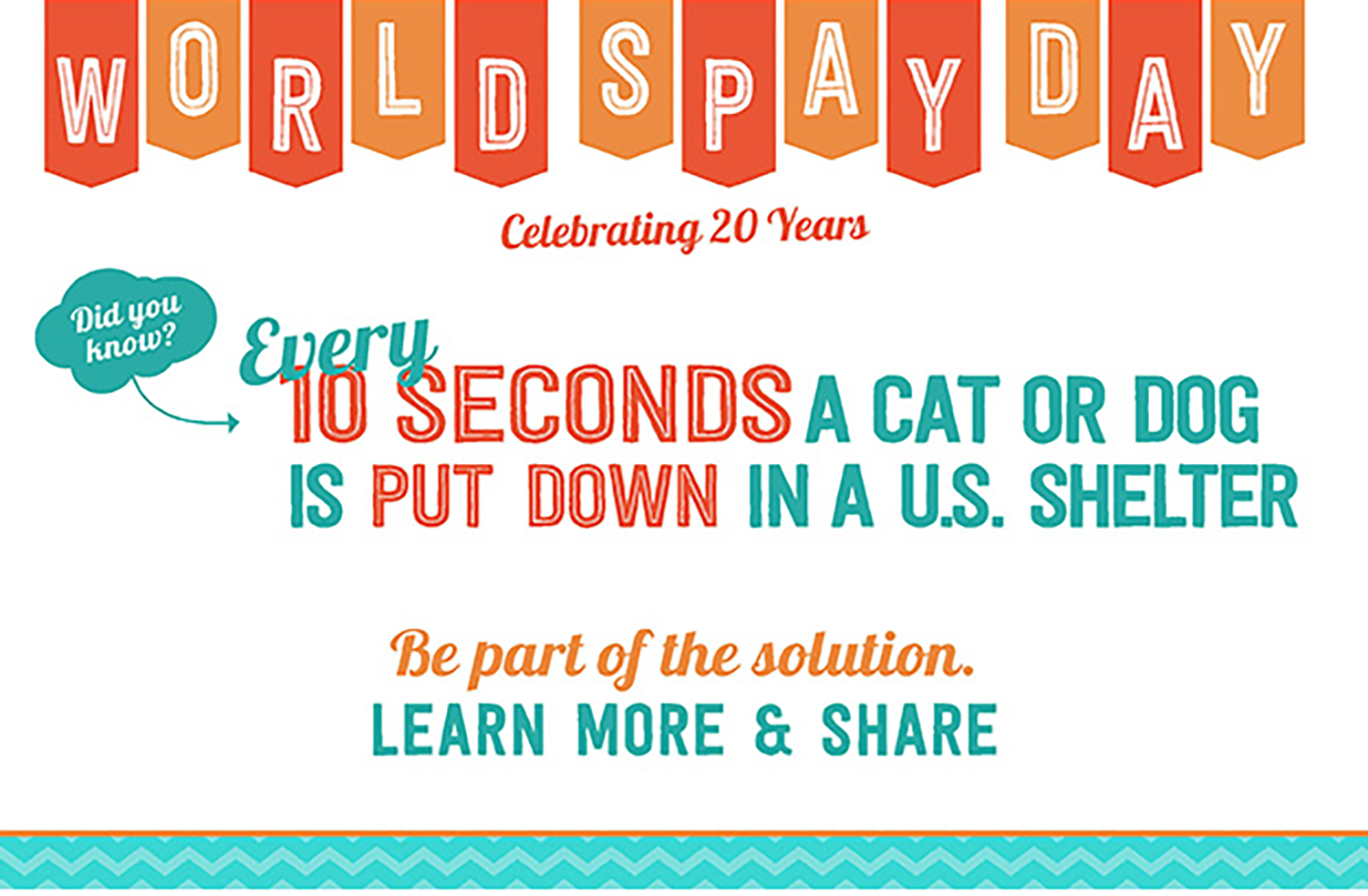 Today Is World Spay Day!