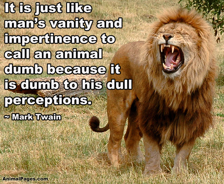 Mark Twain quote