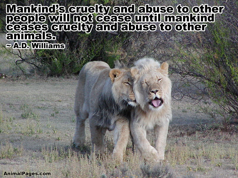 A.D. Williams quote