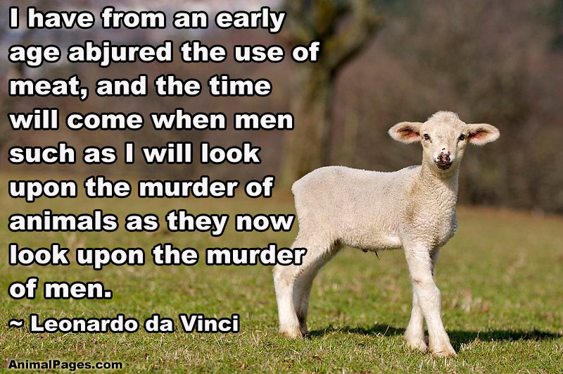 Leonardo da Vinci quote
