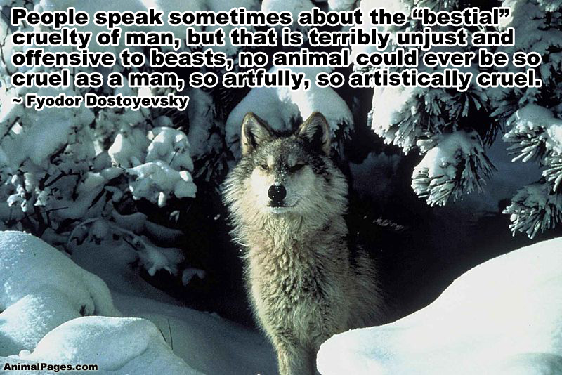 Dostoyevsky quote