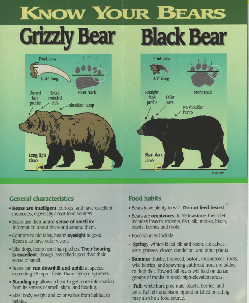 Know-your-bears-identification-brochure (Grizzly Bear Management Plan for Western Montana)