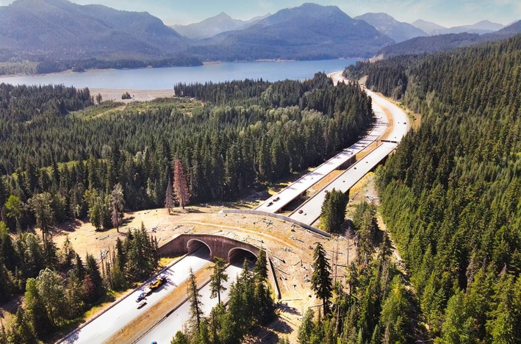 Wildlife Overpass on I-90 east of Snoqualmie Pass, Washington State