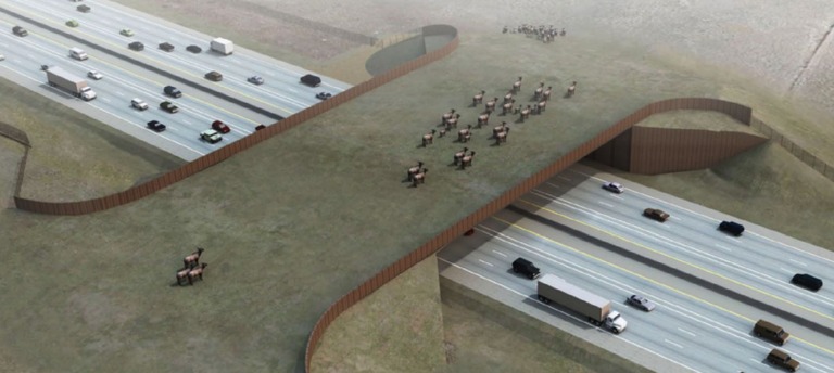 Conceptual image of Greenland Wildlife Overpass showing a herd of Elk crossing over I-25