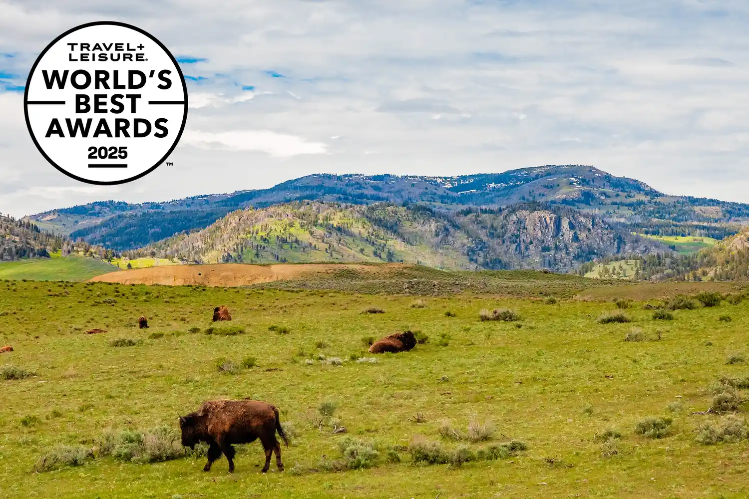 These Are the Top-Ranked U.S. National Parks of 2025, According to Travelers